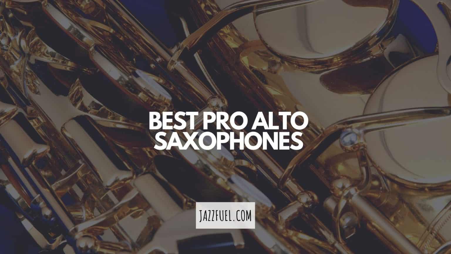 The Best Professional Alto Saxophones Top Ten Picks Jazzfuel