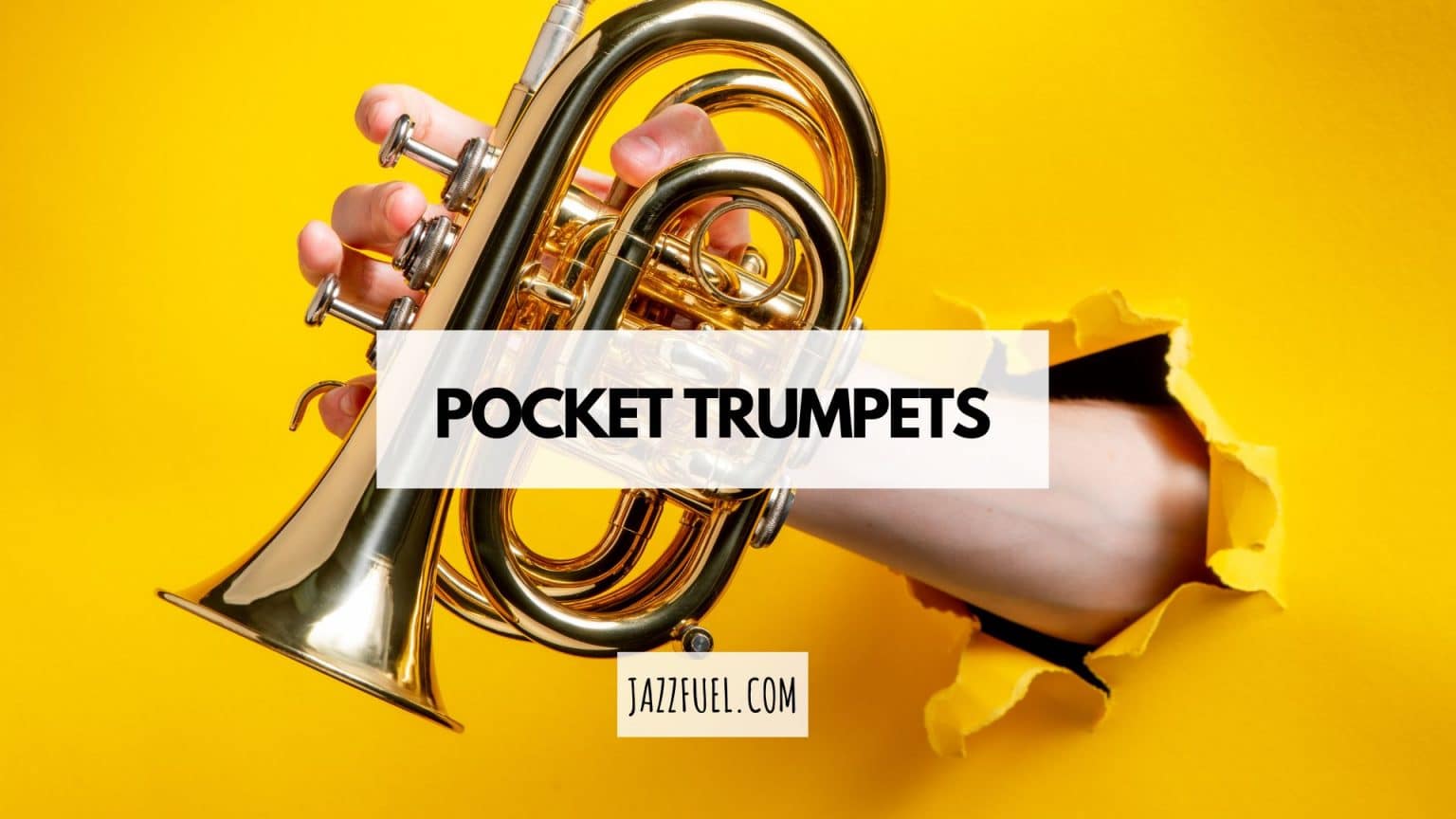 The Best Pocket Trumpets Right Now (And Do You Need One?) Jazzfuel