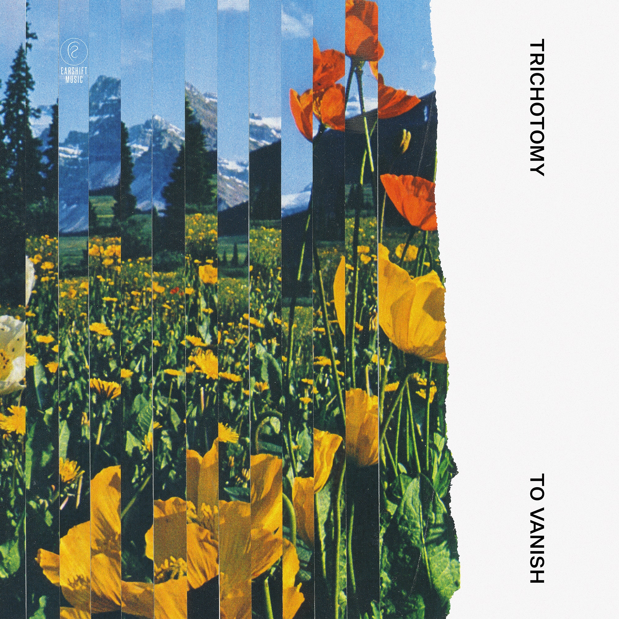 Trichotomy | To Vanish | March 23, 2023