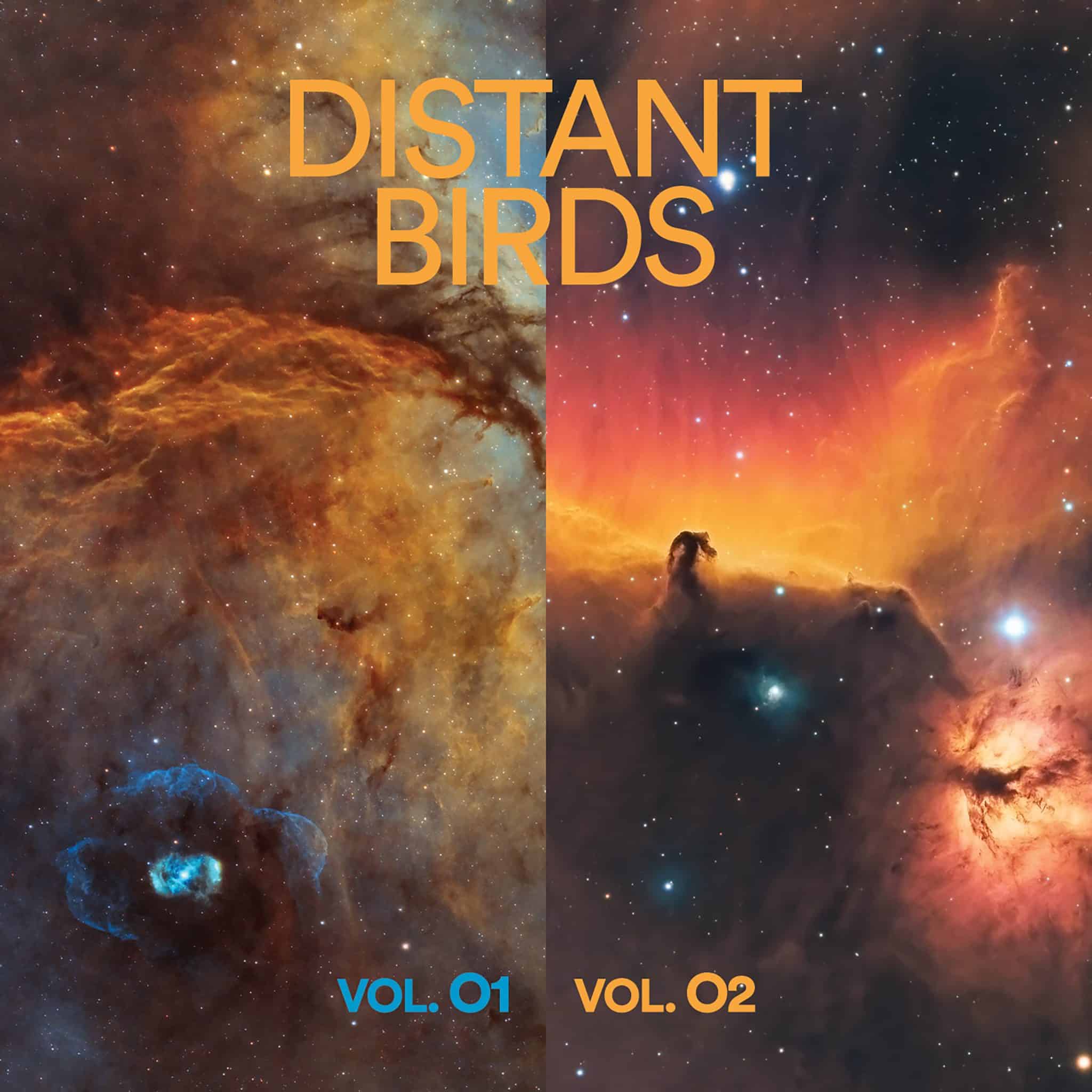 Distant Birds | Vol. 01 & Vol. 02 | May 15, 2026