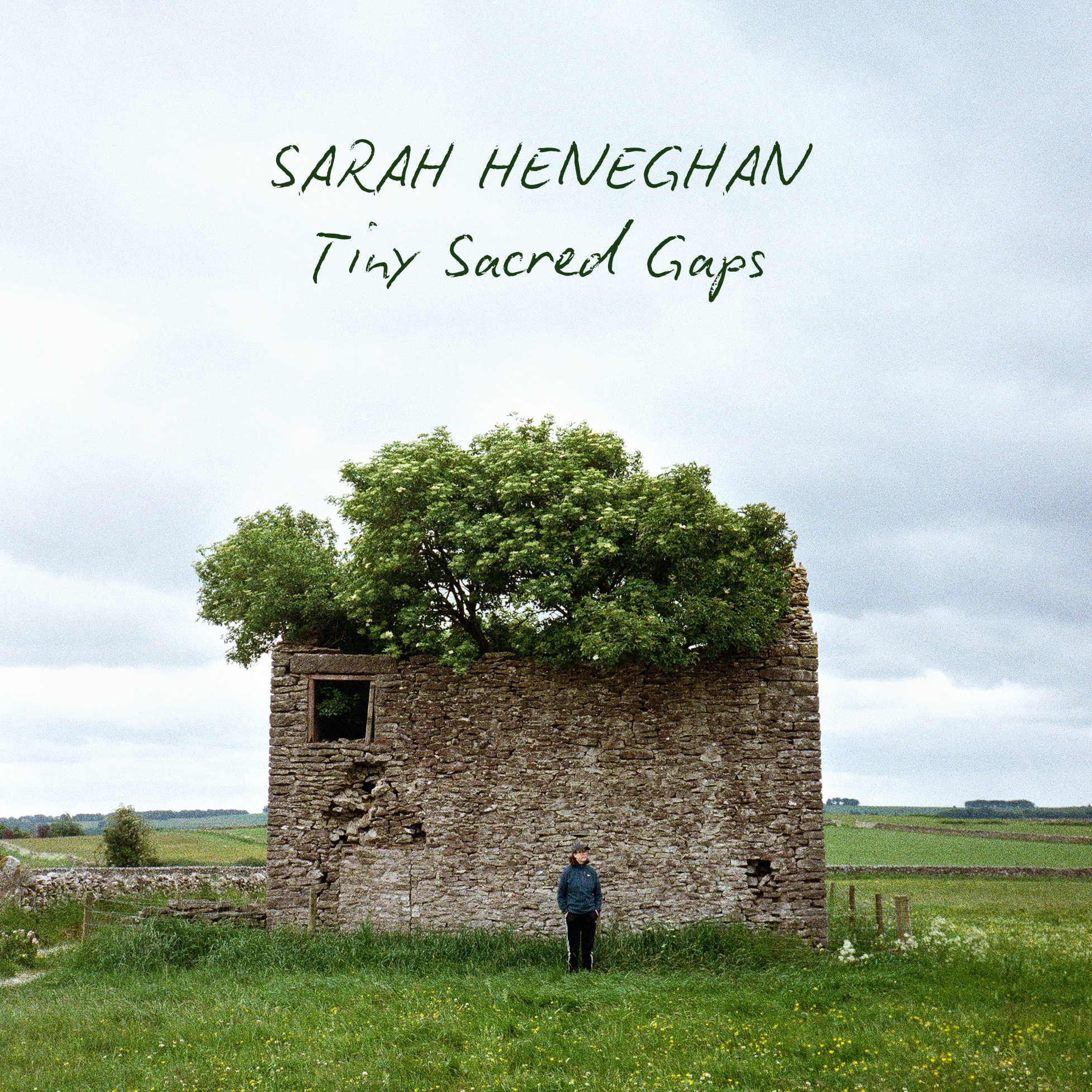 Sarah Heneghan | Tiny Sacred Gaps | October 9, 2026