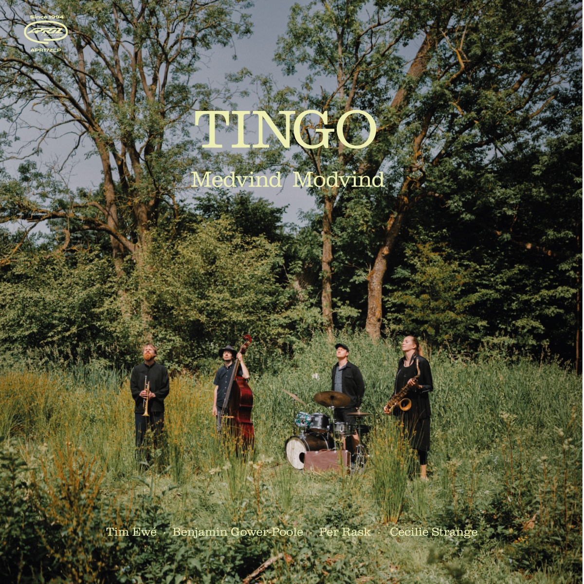 Tingo | Medvind Modvind | October 30, 2026