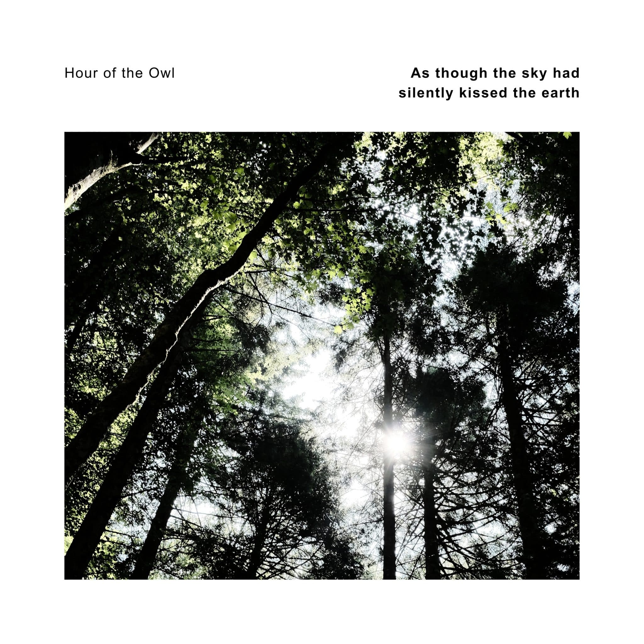 Hour of the Owl | As though the sky had silently kissed the earth | December 11, 2026